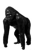 Sculpture en résine Gorille XXL Noir - 130cm