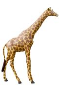 Sculpture en Résine d'une Girafe Naturelle - 340cm